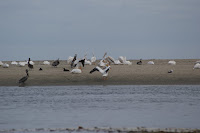 DSC03665.JPG