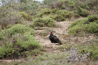 DSC03835.JPG