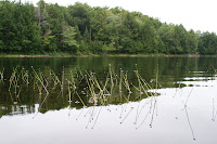 DSC04395.JPG