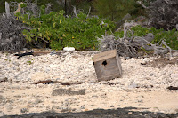 DSC07741.ARW.jpg