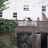 Meerkat Manor.3gp Meerkat Manor.3gp