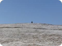 S1054327