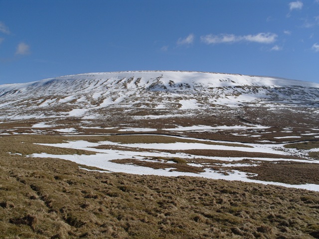 [S10546873.jpg]