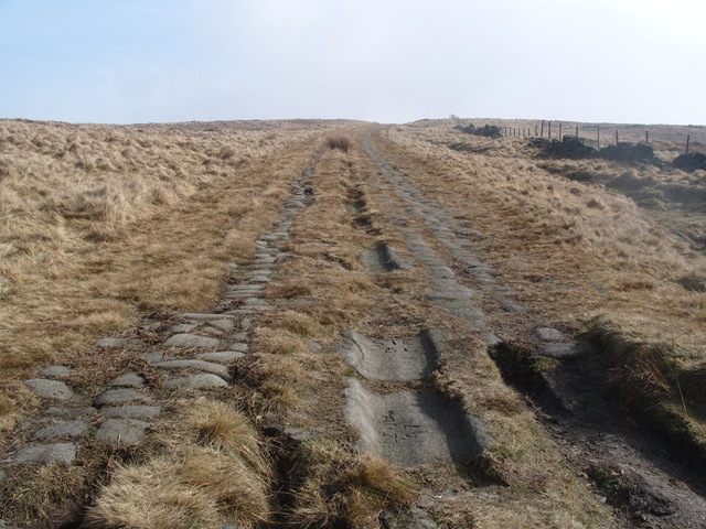 [S10548573.jpg]