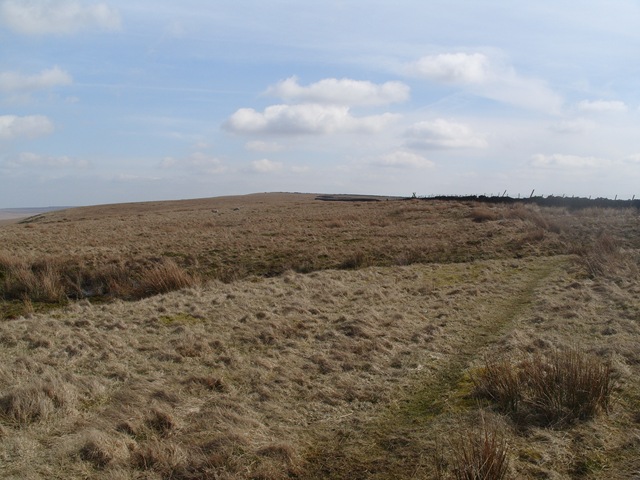 [S10548996.jpg]