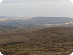 S1054939
