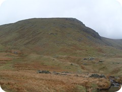 S1055165
