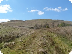 S1055204