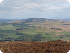S1055302