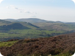 S1055346