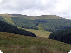 Bodesbeck Law (665m) from Ettrick Pen