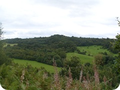 Petworth House 031