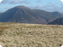 S1053109 S1053109