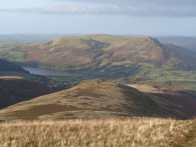 [S10532133.jpg]