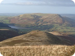 S1053213 S1053213