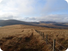 S1053446