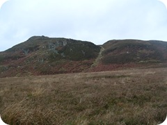 S1053684