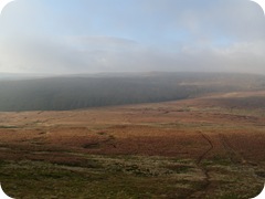 S1053831