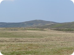 S1055466