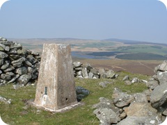 S1055510
