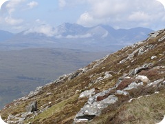 S1055940
