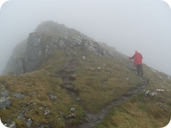 S1056059