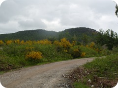 S1056102