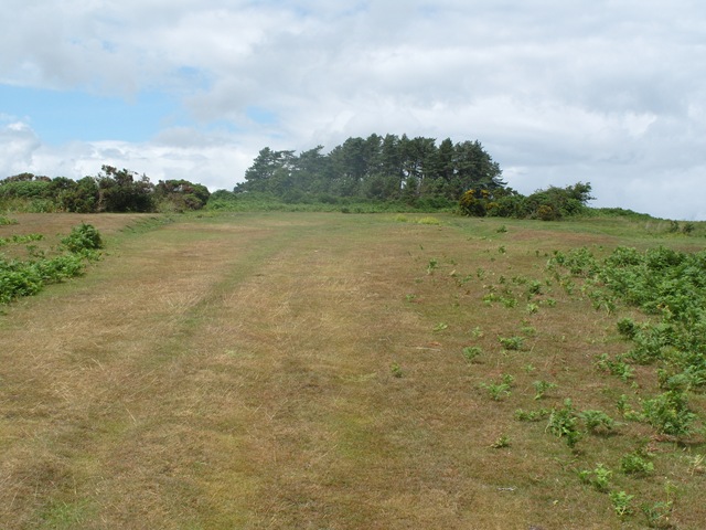 [S10500073.jpg]