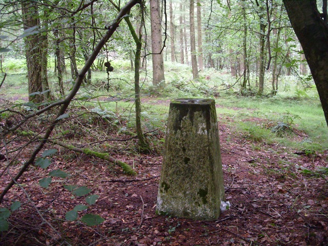 [S10500533.jpg]