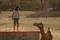 Jai Samand - A Lake Resort , Near to Udaipur , Rajasthan
