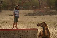 Jai Samand - A Lake Resort , Near to Udaipur , Rajasthan
