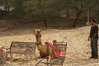 Jai Samand - A Lake Resort , Near to Udaipur , Rajasthan