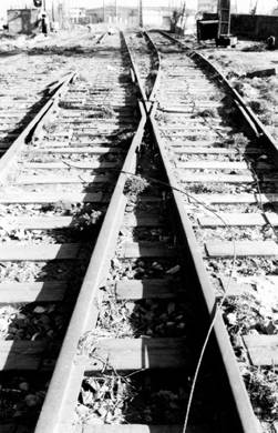 [linea+ferrea.jpg]