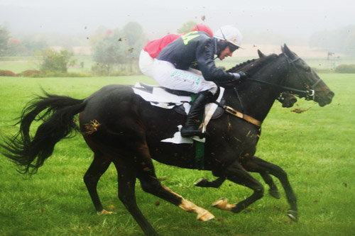 Princess of Wales's Stakes