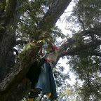 Oscar bringing the rescue dummy to the ground