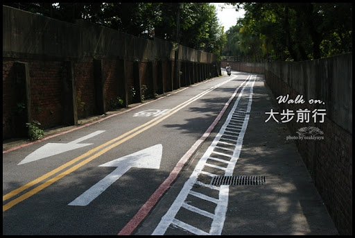 photo by ozakiyuyu