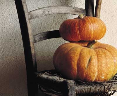 [zucca[13].jpg]