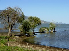 Roca Lake no Birds