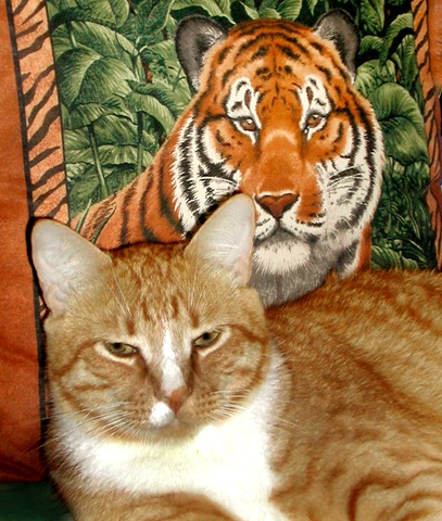 [Cat &I Tiger[13].jpg]
