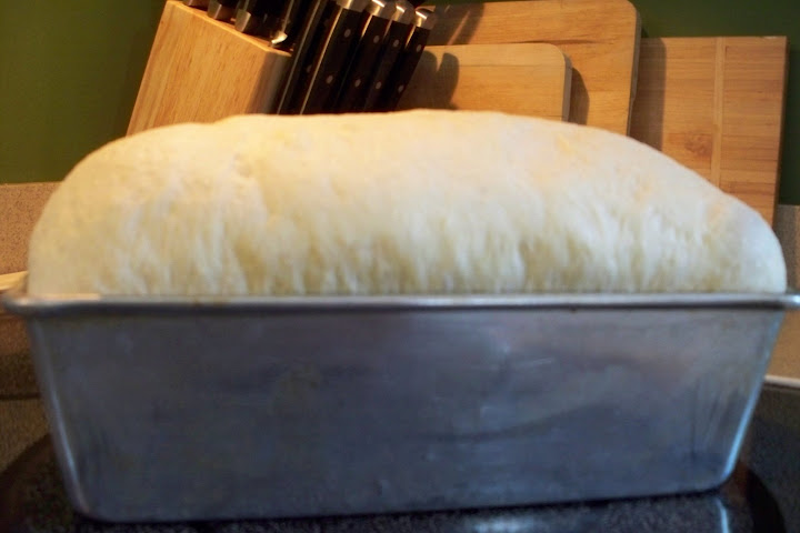 Bread - After the Second Rise