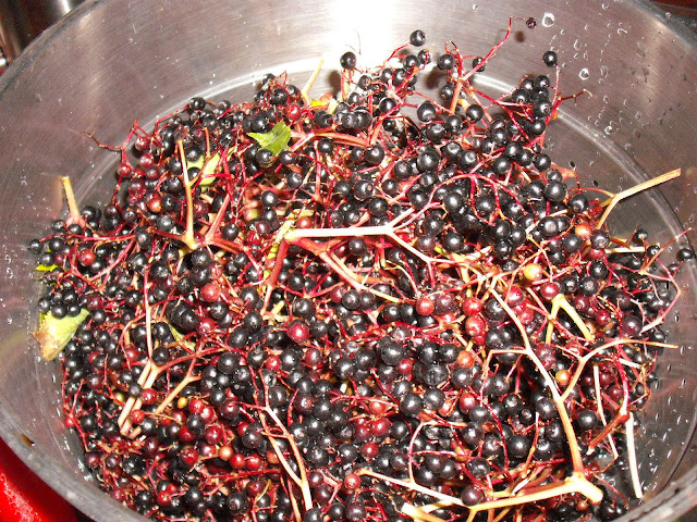 DSCF0327.JPG