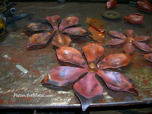 Copper Magnolias from picasaweb.google.com