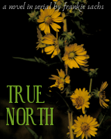 cover of True North, click to read the novel so far