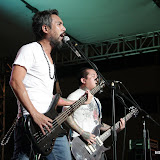 IMG_7992 (Large).JPG