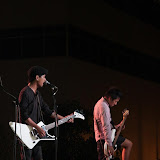 IMG_7878 (Large).JPG