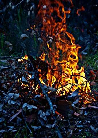 [fire[4].jpg]