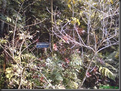 DSC01202