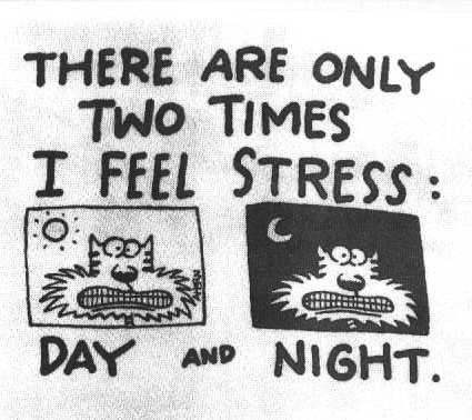 [stress[2].jpg]