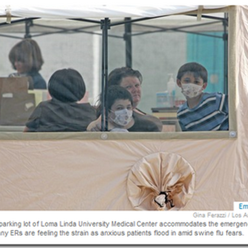 Los Angeles and Other Major Metropolitan Area ER Rooms are Busy with Patients Fearing Flu