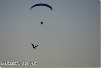 bernat pescaire i home volador